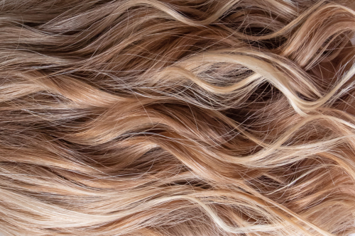 cheveux blonds et fins
