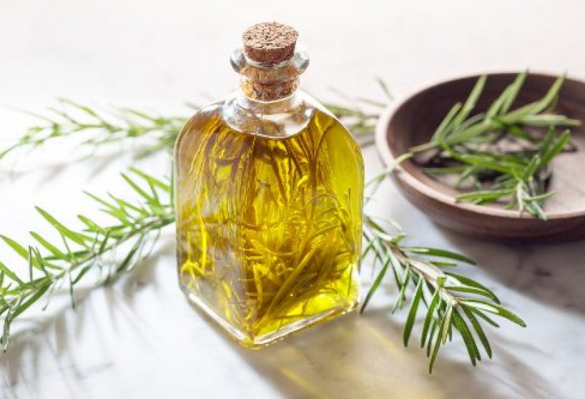 L’huile essentielle de romarin : le secret naturel anti-chute des cheveux