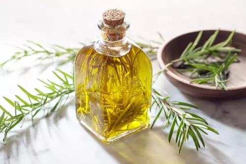 L'huile essentielle de romarin : le secret anti-chute des cheveux - AQUILIA  Cosmetics