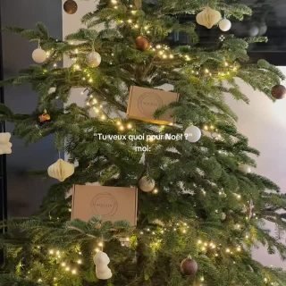 Foncez, la boutique de Noël Aquilia Cosmetics est ouverte ✨La livraison est garantie sous le sapin jusqu’au 18 décembre 🎄C’est le moment de craquer pour vos produits préférés 🌿
